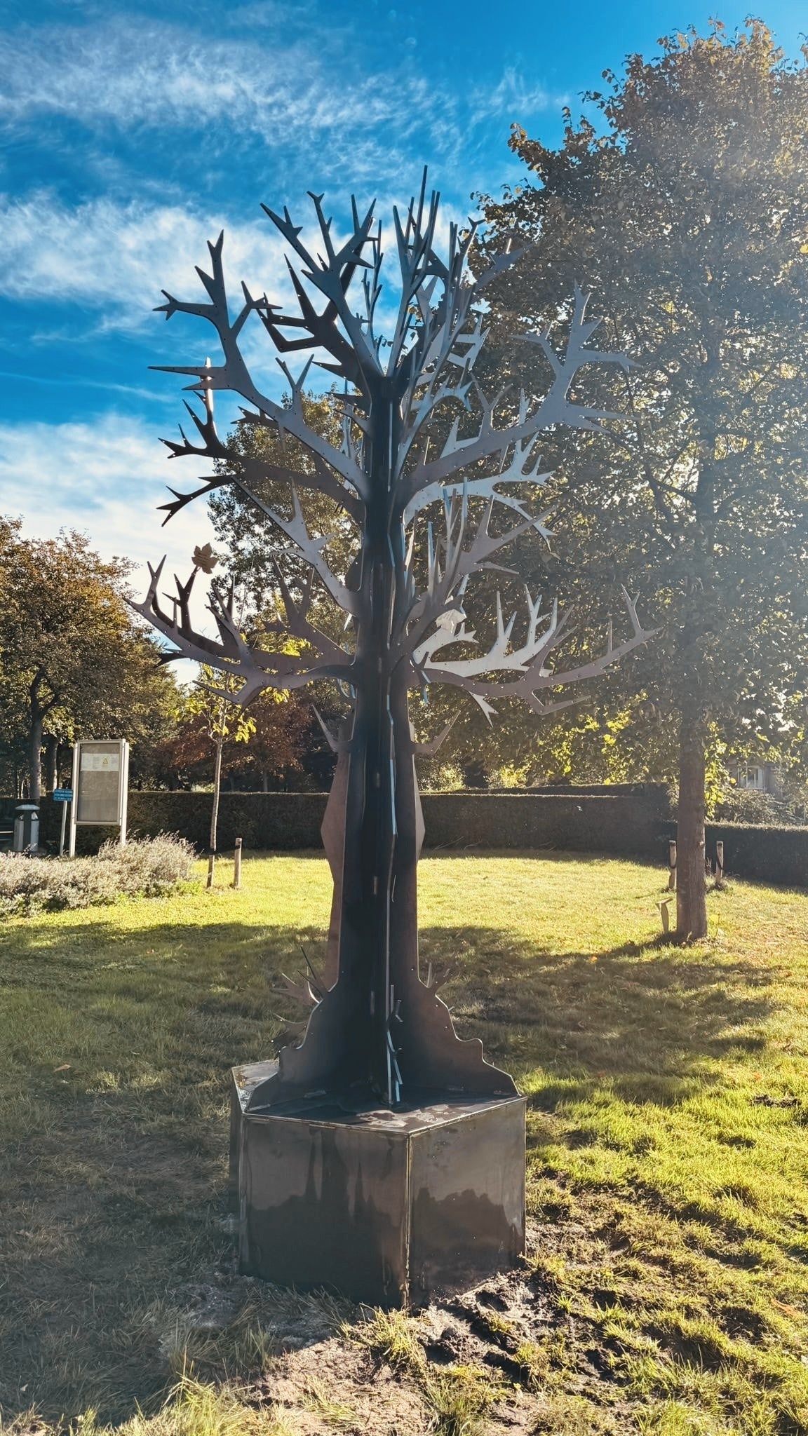 Begraafplaats Oostzaan gedenkboom